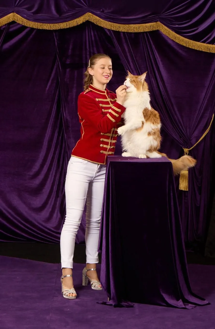 Un Duo Un Rêve Une Ascension - Spectacle pour enfants - Sur Mesure Spectacles
