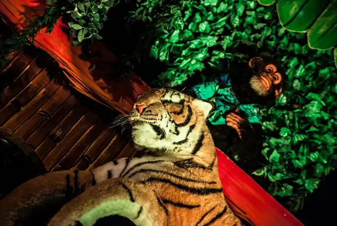 Le Crazy Jungle Show - Spectacle pour enfants - Sur Mesure Spectacles