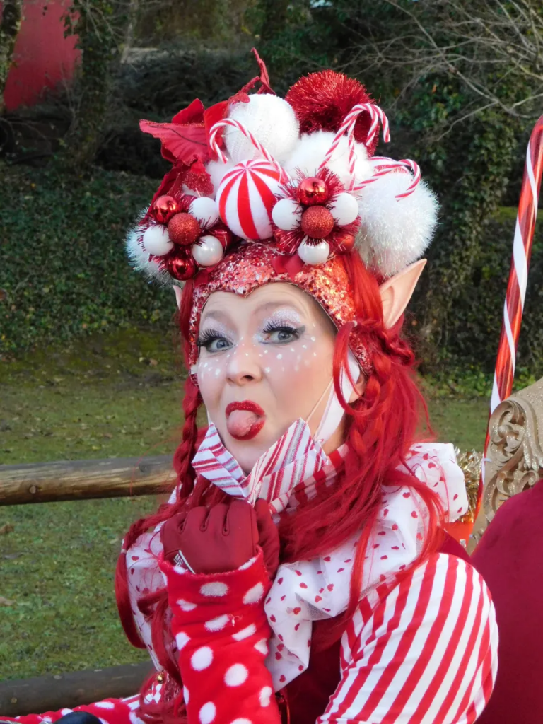 Spectacle Elfy en foly - Sur Mesure Spectacles