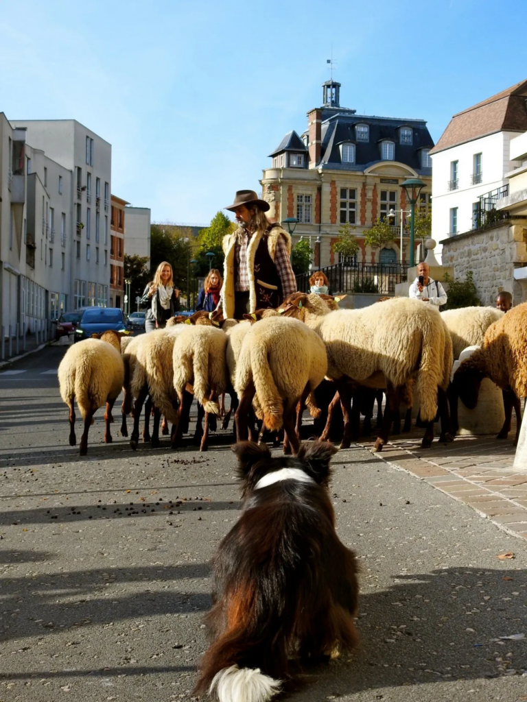 La Petite Ferme des Pin - Sur Mesure Spectacles