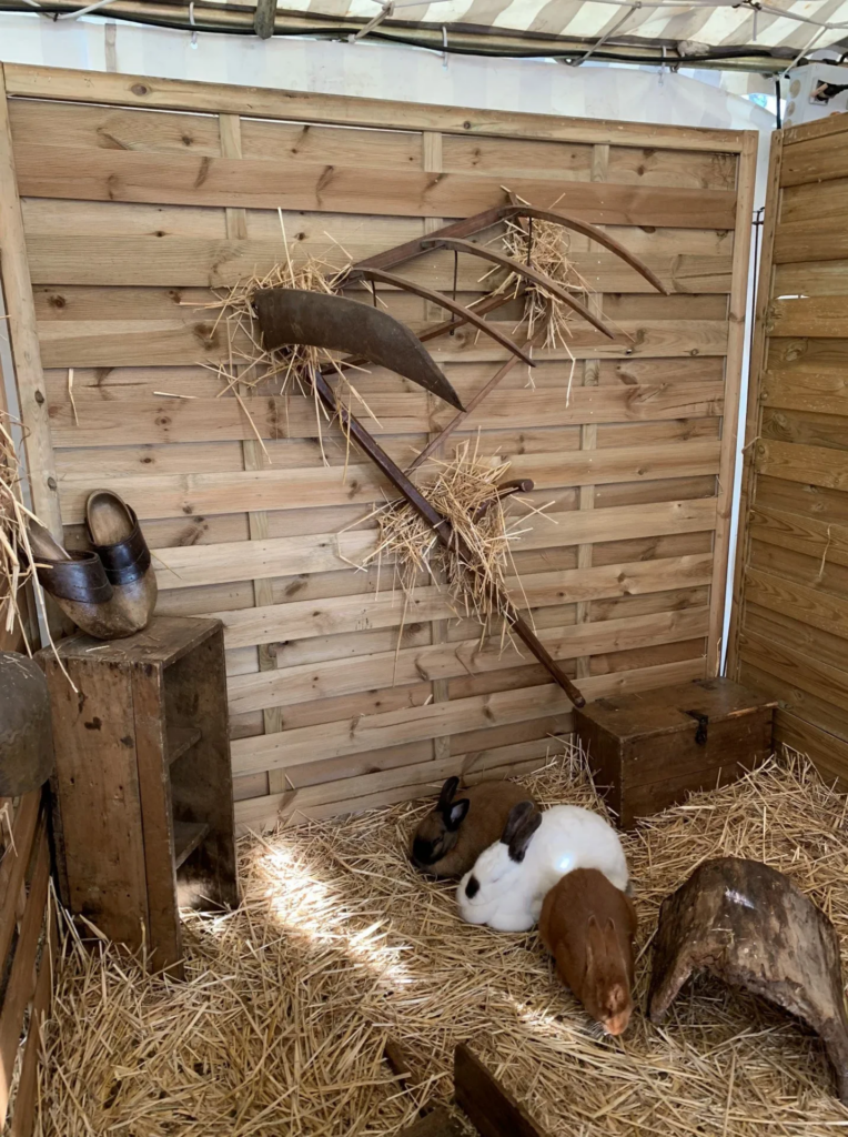 La Petite Ferme des Pin - Sur Mesure Spectacles