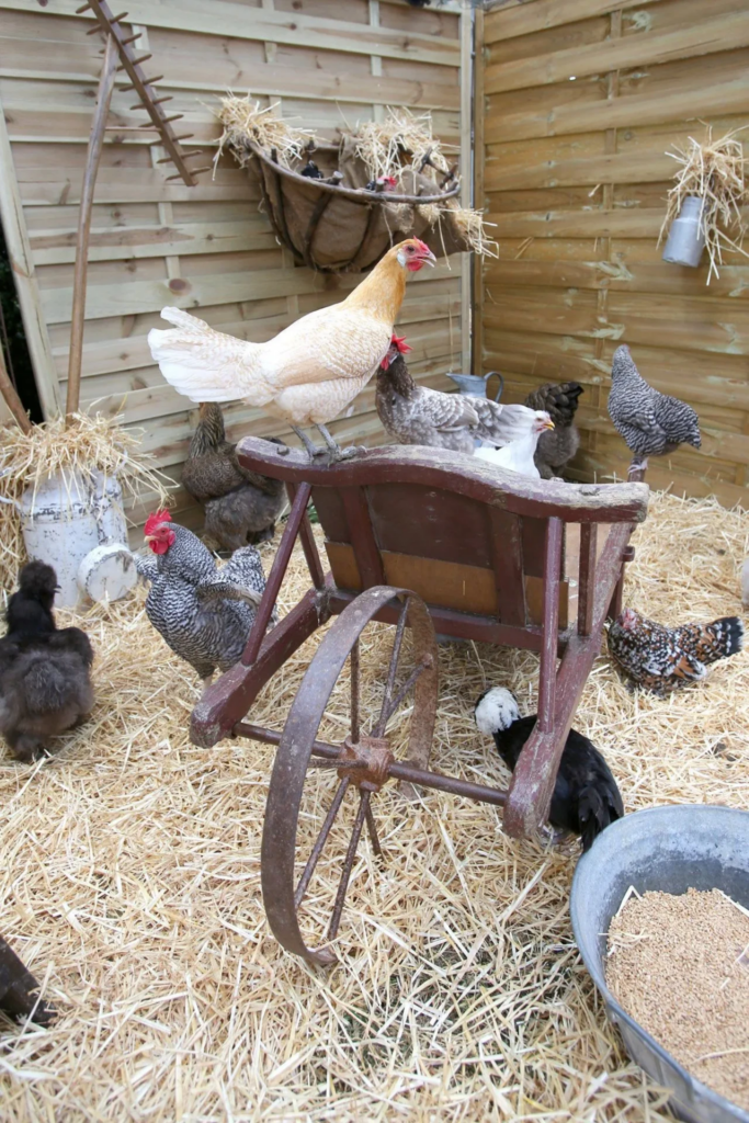 La Petite Ferme des Pin - Sur Mesure Spectacles