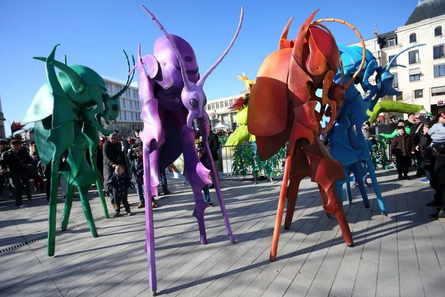 Les Chromoaptères - Echassiers en déambulation - Théâtre de rue - Sur Mesure Spectacles
