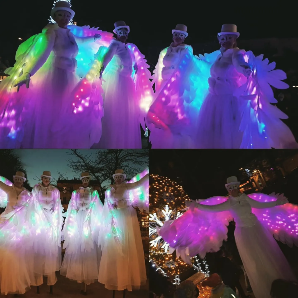 Les oiseaux majestueux- Echassiers en déambulation - Théâtre de rue - Sur Mesure Spectacles