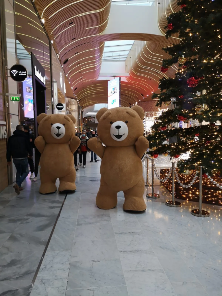 Les Ours Brun - animation gonflable - Rencontres insolites - Sur Mesure Spectacles