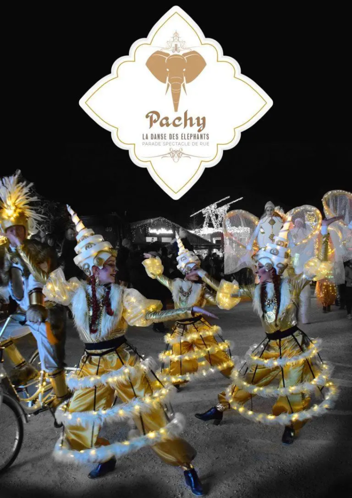Pachy, la Danse des Eléphants - Spectacle fixe et déambulatoire - Sur Mesure Spectacles