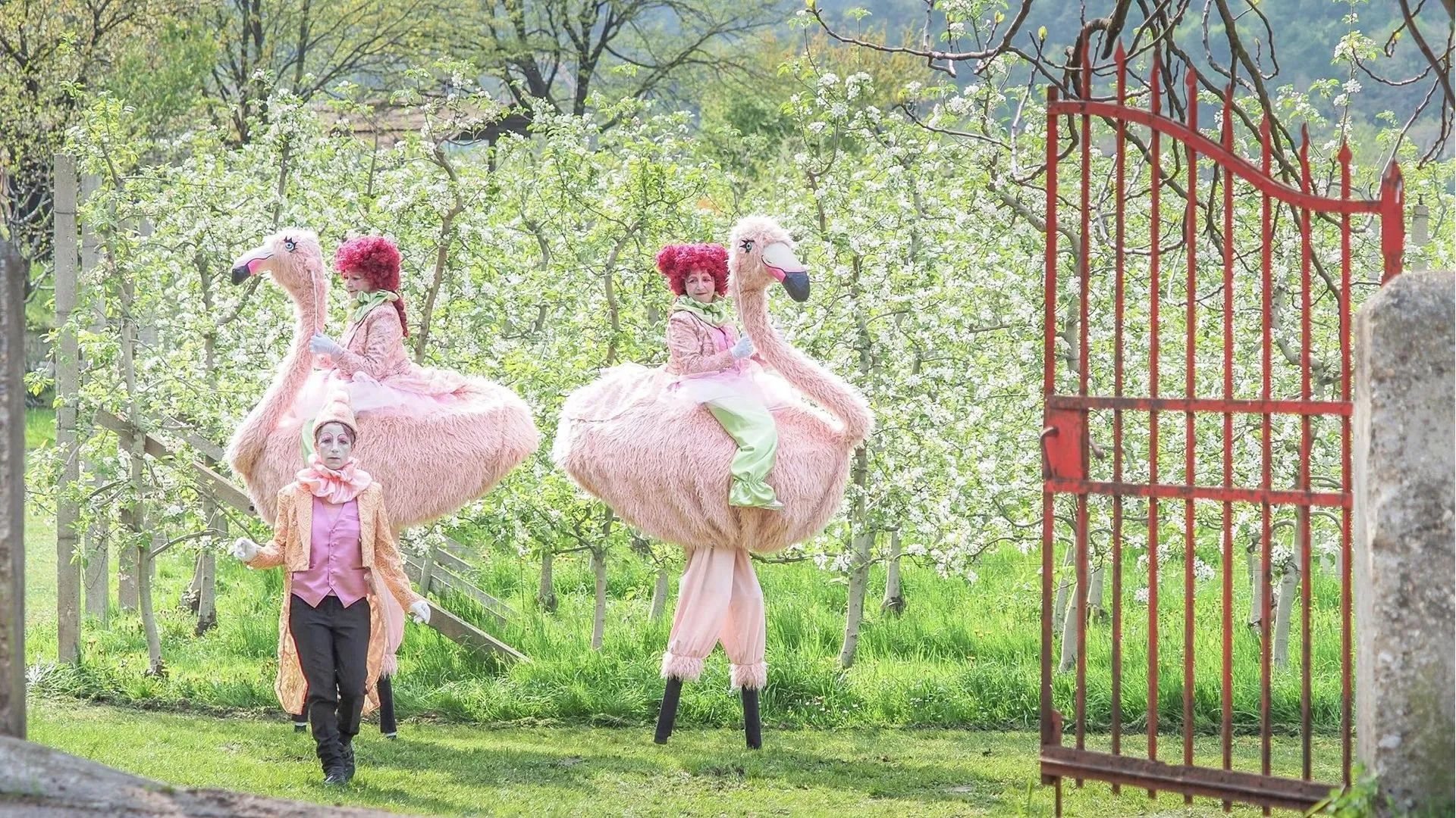 Les Flamants Roses - Spectacle fixe et déambulatoire - Sur Mesure Spectacles