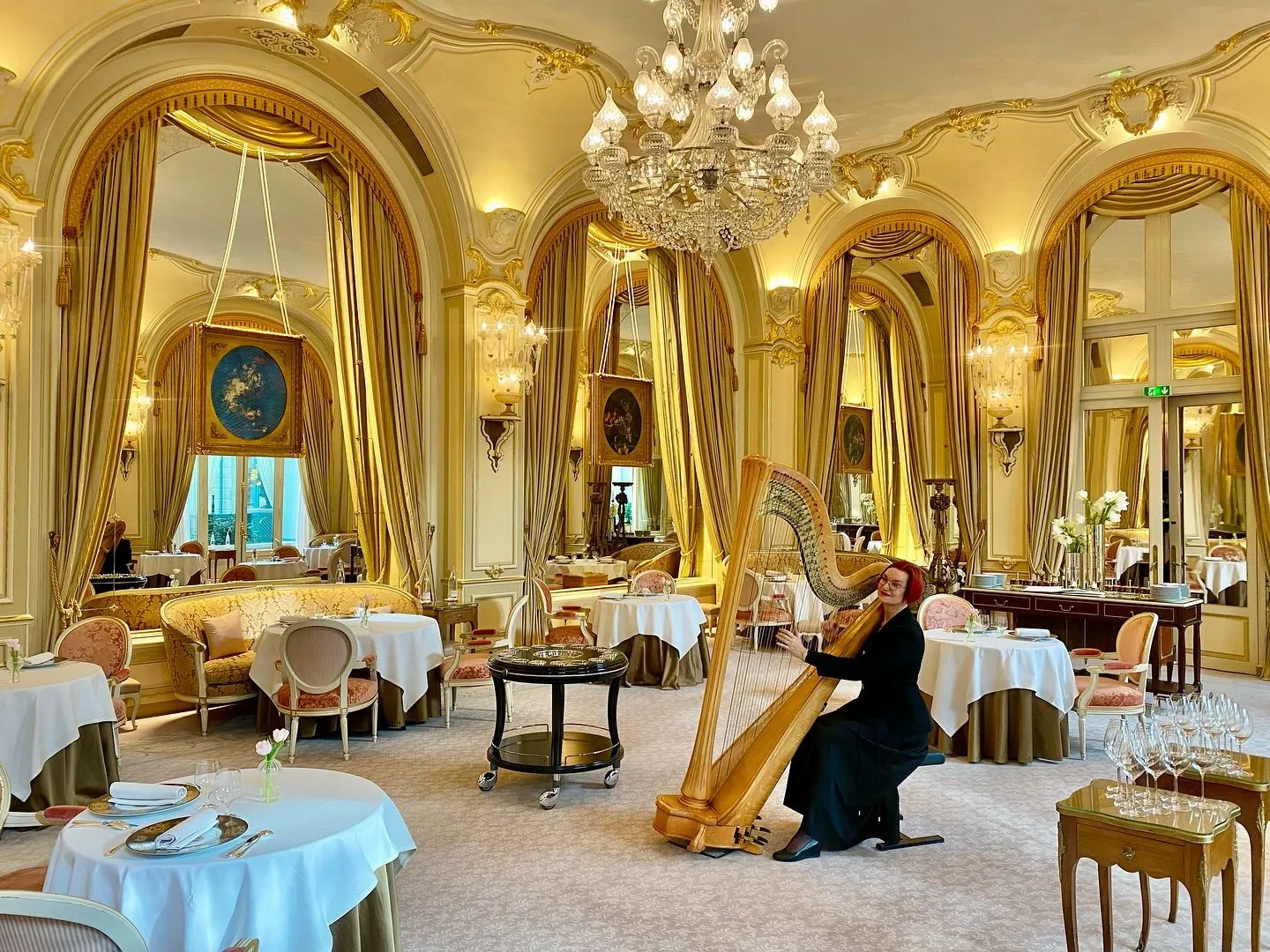 La Harpe de Sabine - Ambiance musicale  - Sur  Mesure Spectacles