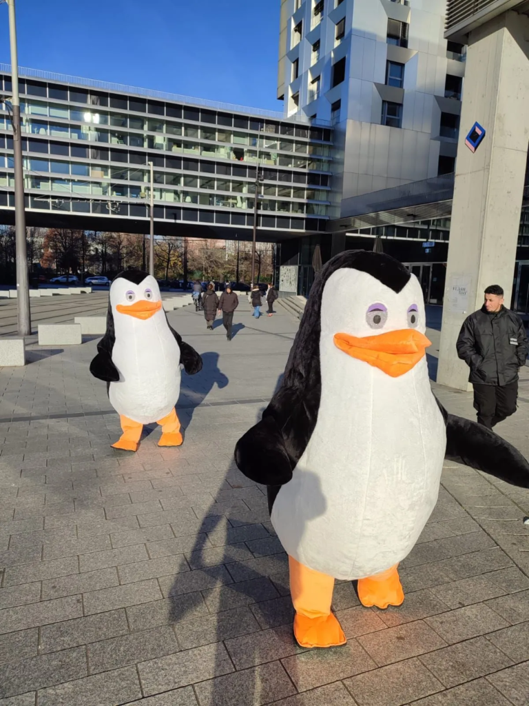 Les Pingouins - animation gonflable - Rencontres insolites - Sur Mesure Spectacles