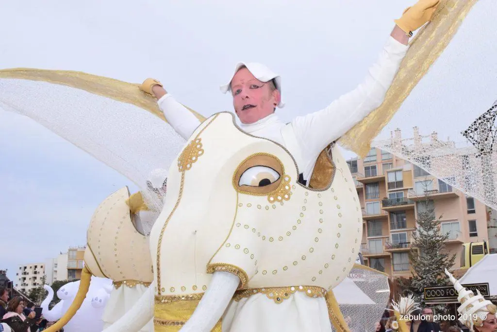 Pachy, la Danse des Eléphants - Spectacle fixe et déambulatoire - Sur Mesure Spectacles