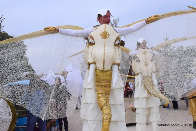 Pachy, la Danse des Eléphants - Spectacle fixe et déambulatoire - Sur Mesure Spectacles