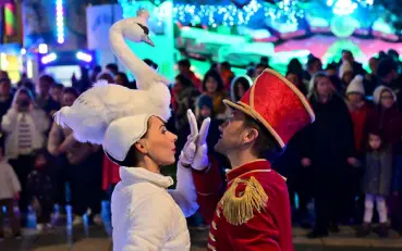 Bal des cygnes - Sur Mesure spectacles - A propos